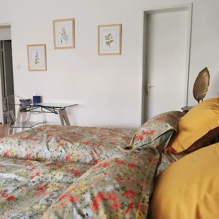 La Maison De Lucie - Grande Maison Ideale En Famille Ou Entre Amis - Jardin - Parking Gratuit Nyaraló Sélestat