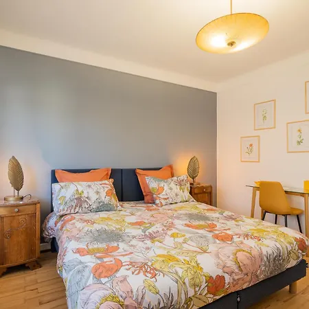 La Maison De Lucie - Grande Maison Ideale En Famille Ou Entre Amis - Jardin - Parking Gratuit * Sélestat